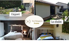 Les Saugeys